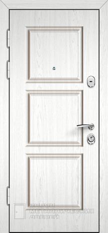 Фото «Дверь с терморазрывом №55» в Ивантеевке